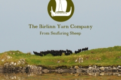 sheep-on-islandsprint