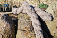 IMG_20190126_133727_729