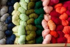 11813488_859353350802283_4782578252098294973_n