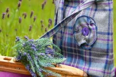 36731573_1738953462857834_8542848788224540672_n