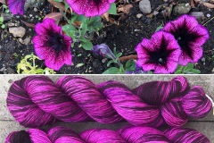 36331904_611455259225741_9211981530182713344_n