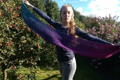 IMG_20170807_173345296