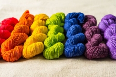 13557791_10210005371950820_1369830021526568391_n