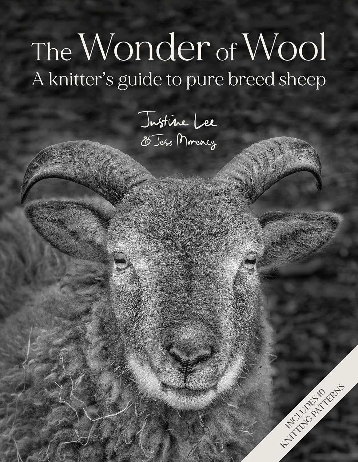 The Wonder of Wool (Pre-order for collection only)